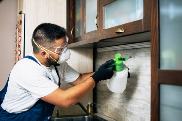 Best Pest Control for Homes  in Deville, AL