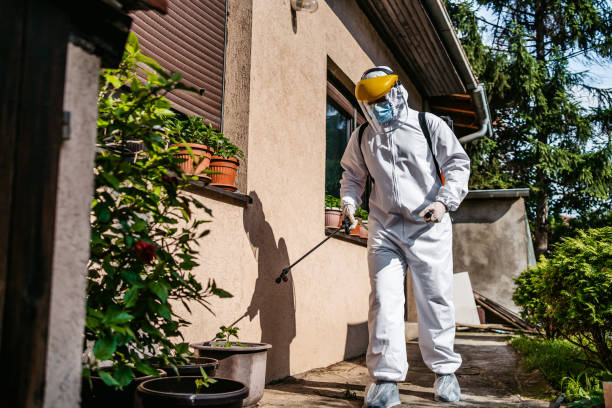 Best Mosquito Control Services  in Deville, AL