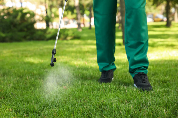 Best Rat Extermination Near Me  in Deville, AL