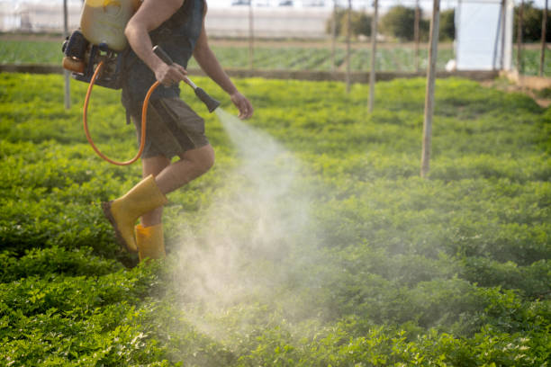 Best Best Pest Control Companies  in Deville, AL