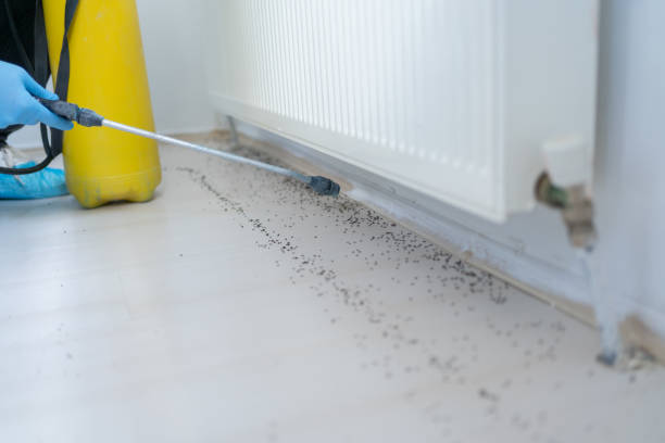 Best Exterminator Services  in Deville, AL